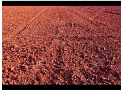 Laterite soil