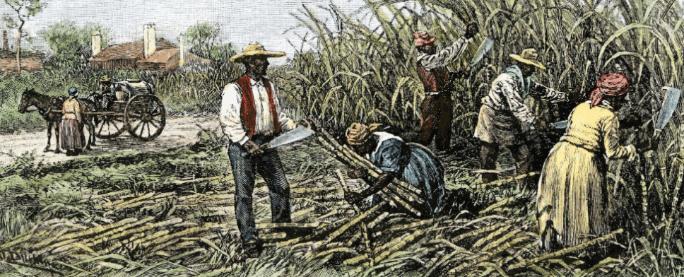 Plantation