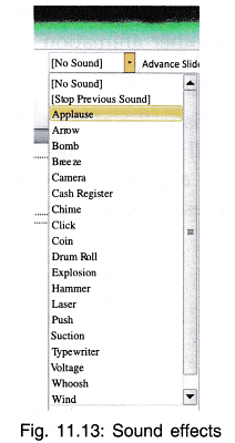 MS-PowerPoint Chapter Notes | Computer Science for Grade 9