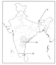 Class 9 Geography Chapter 2 Extra Question Answers - Physical Features of India