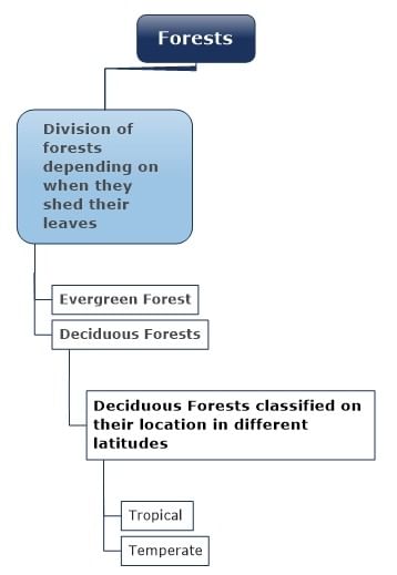 Land, Soil, Water, Natural Vegetation & Wildlife Resources Summary Class 8 NCERT Summary Chapter 1
