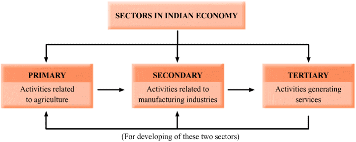 Classification of Economic Sectors 