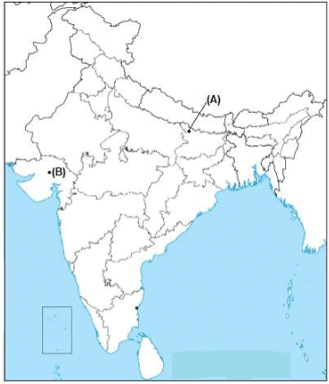 Class 10 Social Science: CBSE Sample Question Paper (2020-21) - 1 | Social Studies (SST) Class 10