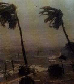 Fig: During a cyclone