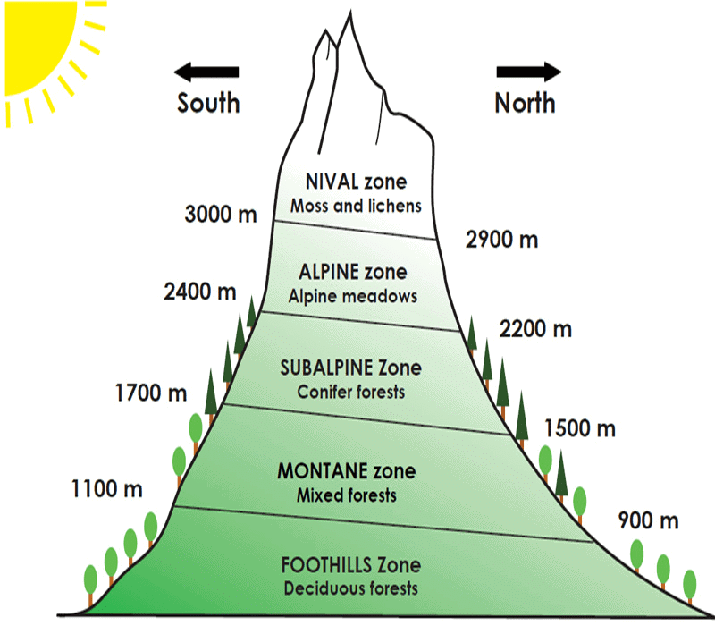 NCERT Solutions for Class 9 Geography Chapter 5 - Natural Vegetation and Wildlife