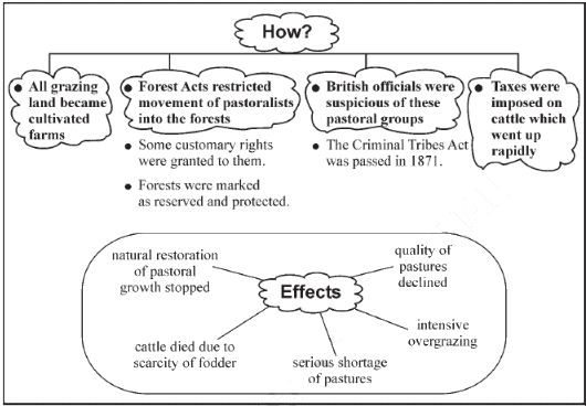 Key Concepts - Pastoralists in the modern world | Social Studies (SST) Class 9