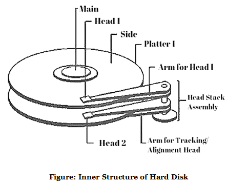 Basics of Information Technology Chapter Notes | Computer Science for Grade 9