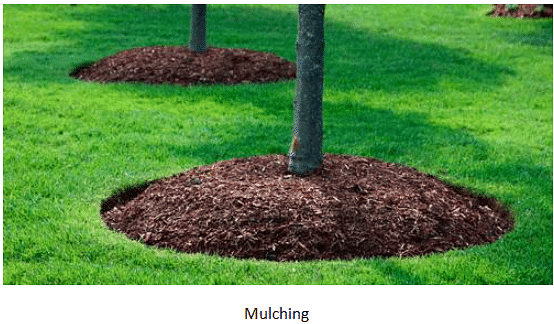 Land, Soil, Water, Natural Vegetation & Wildlife Resources Summary Class 8 NCERT Summary Chapter 1