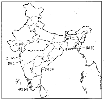 Class 10 Social Science: CBSE Sample Question Paper (2019-20) - 5 | Social Studies (SST) Class 10