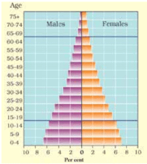Human Resources Summary Class 8 NCERT Summary Chapter 5