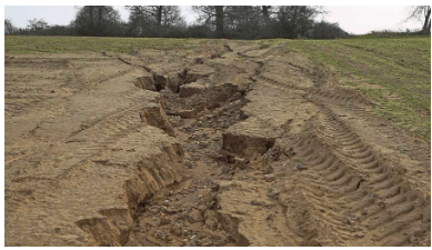 Eroded soil