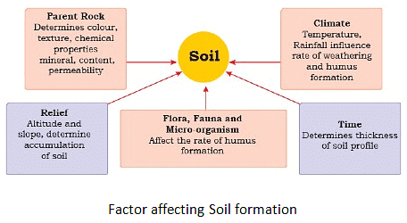 Land, Soil, Water, Natural Vegetation & Wildlife Resources Summary Class 8 NCERT Summary Chapter 1