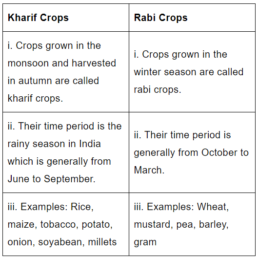 Sample Paper 1 with Solution - Term- 1 Social Science, Class 8 | Social Studies (SST) Class 8
