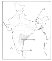 Class 9 Geography Chapter 3 Extra Question Answers - Drainage