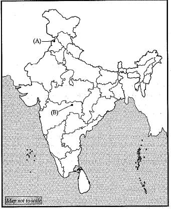 Class 10 Social Science: CBSE Sample Question Paper (2019-20) - 9 | Social Studies (SST) Class 10