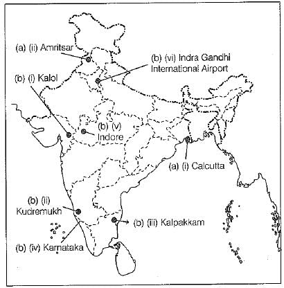 Class 10 Social Science: CBSE Sample Question Paper (2019-20) - 4 | Social Studies (SST) Class 10