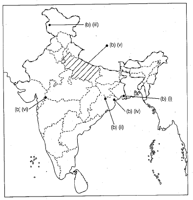 Class 10 Social Science: CBSE Sample Question Paper (2019-20) - 2 | Social Studies (SST) Class 10