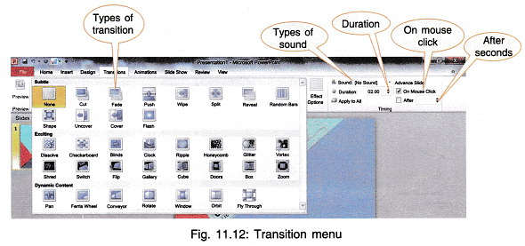 MS-PowerPoint Chapter Notes | Computer Science for Grade 9
