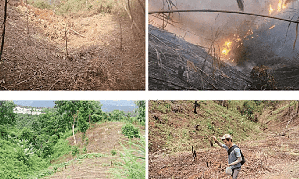 Mnemonics: Forest Society and Colonailism | Social Studies (SST) Class 9