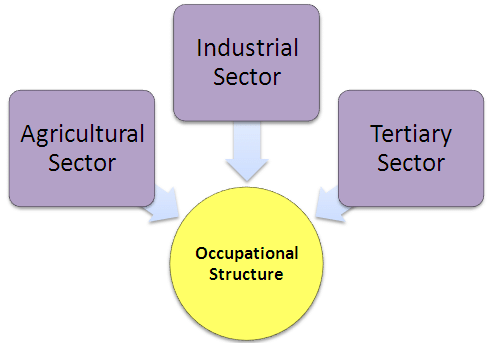 Glossary and Important Information - Population | Social Studies (SST) Class 9