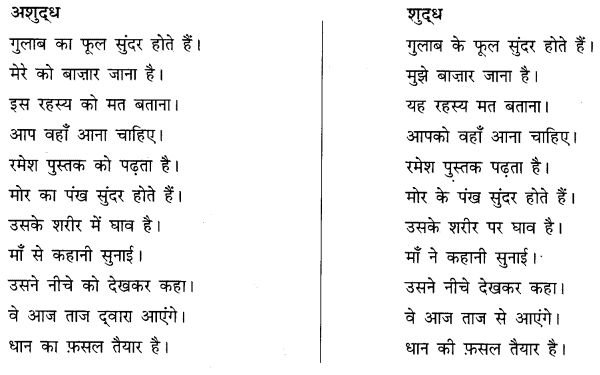 अशुद्धि शोधन: Notes | हिंदी व्याकरण - कक्षा 10 - Class 10