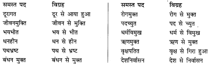 समास: Notes | हिंदी व्याकरण - कक्षा 10 - Class 10