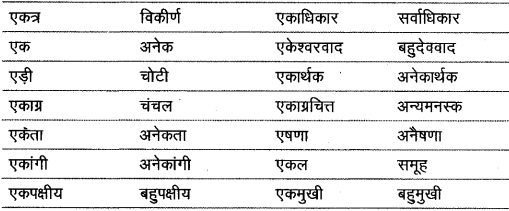 विलोम शब्द | Hindi Class 9 (Sparsh and Sanchayan)