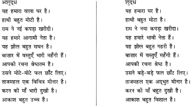 अशुद्धि शोधन: Notes | हिंदी व्याकरण - कक्षा 10 - Class 10