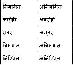 एवरेस्ट – मेरी शिखर यात्रा NCERT Solutions | Hindi Class 9 (Sparsh and Sanchayan)