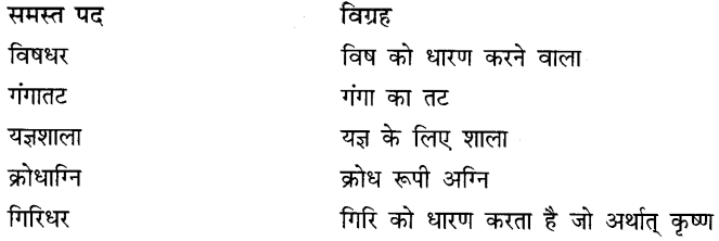 समास: Notes | हिंदी व्याकरण - कक्षा 10 - Class 10