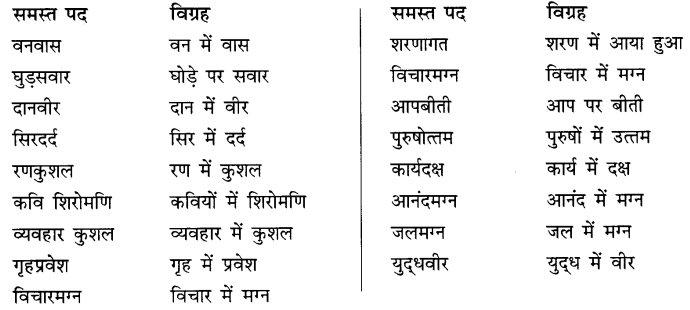 समास: Notes | हिंदी व्याकरण - कक्षा 10 - Class 10