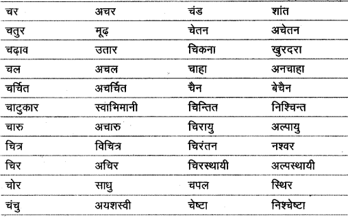विलोम शब्द | Hindi Class 9 (Sparsh and Sanchayan)