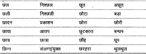 विलोम शब्द | Hindi Class 9 (Sparsh and Sanchayan)