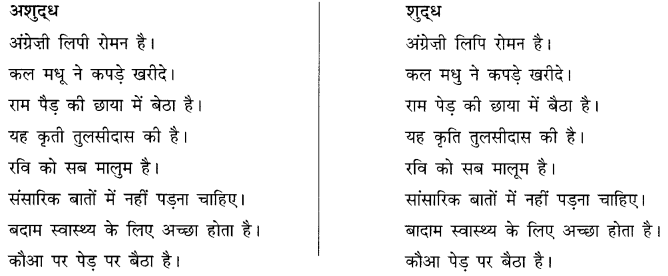 अशुद्धि शोधन: Notes | हिंदी व्याकरण - कक्षा 10 - Class 10