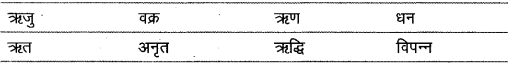 विलोम शब्द | Hindi Class 9 (Sparsh and Sanchayan)