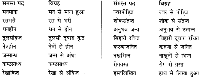 समास: Notes | हिंदी व्याकरण - कक्षा 10 - Class 10