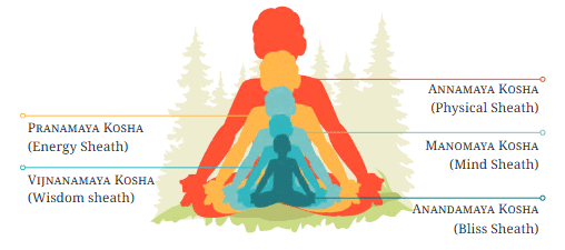 Yoga for Daily Life Class 7 Notes Physical Education Unit 6 Chapter 1 Free PDF