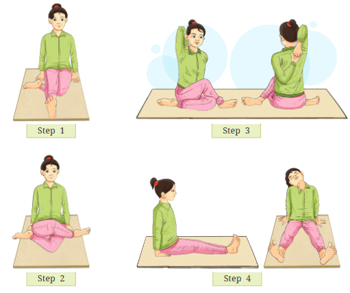 Yoga Asana Class 7 Notes Physical Education Unit 6 Chapter 3 Free PDF