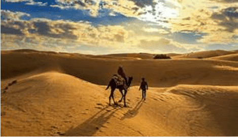 Class 7 Social Science Chapter 1 Short and Long Answer Questions - Geographical Diversity of India