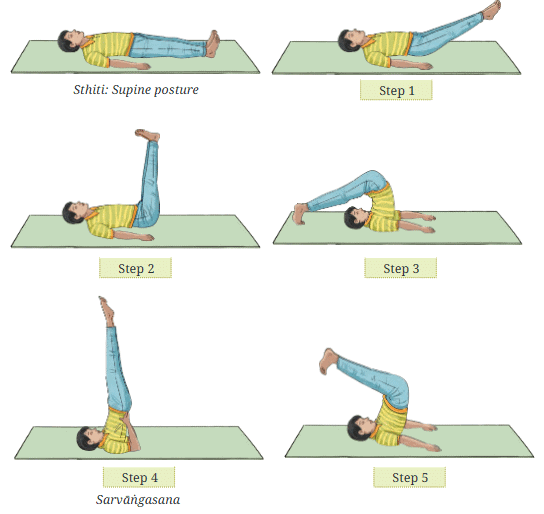 Yoga Asana Class 7 Notes Physical Education Unit 6 Chapter 3 Free PDF