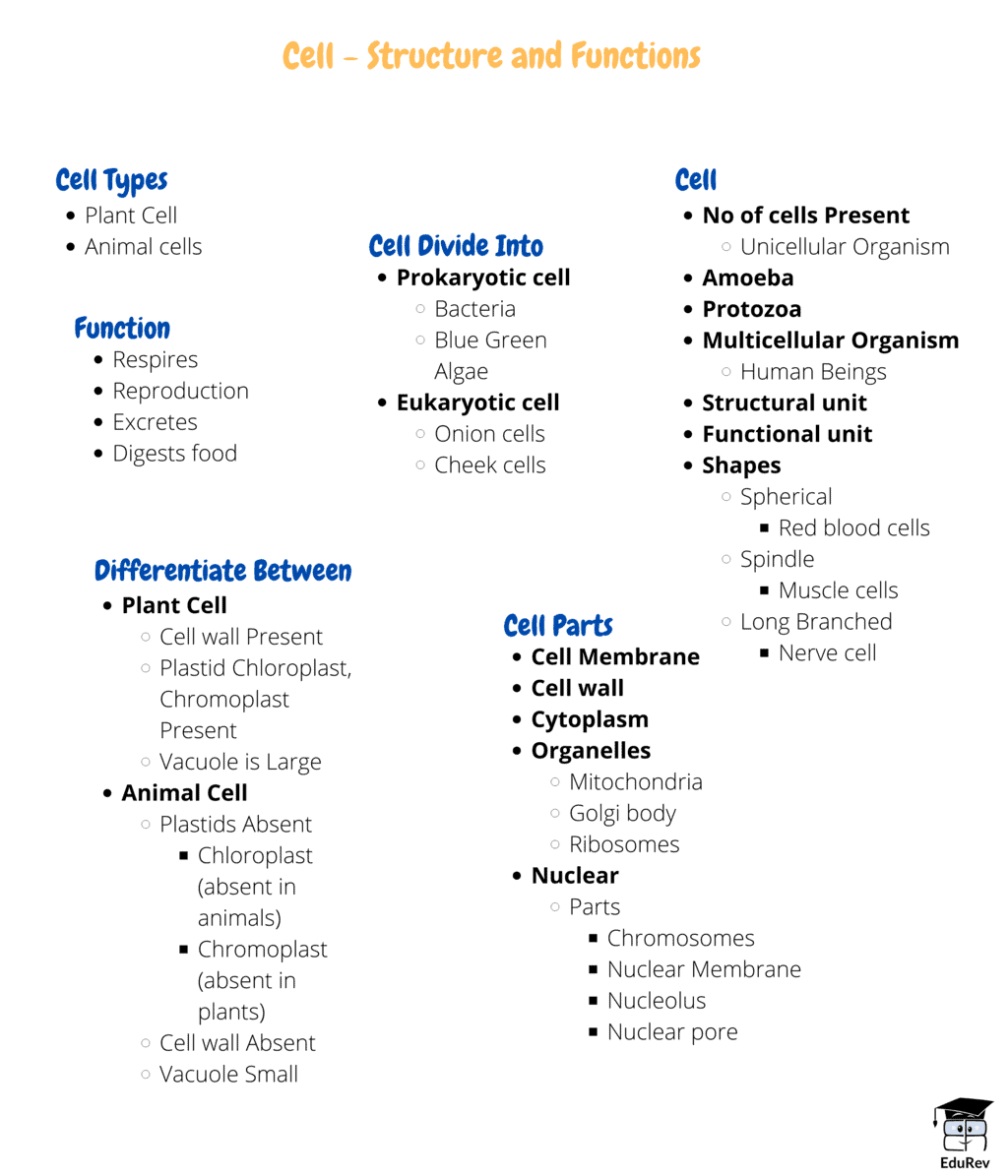 Mind Map: Cell - Structure and Functions | General Awareness for SSC CGL