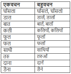 चिड़िया और चुरुंगुन NCERT Solutions | Hindi (Durva II) Class 7 (Old NCERT)