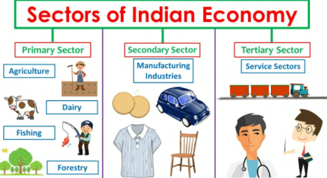 Economic Activities Around Us Chapter Notes | Social Studies (SST) Class 6