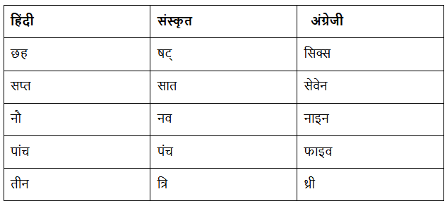 NCERT Solutions: अपूर्व अनुभव