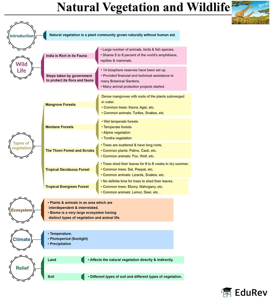 Mind Map: Natural vegetation and wildlife | Subject-Wise Mind Maps for Class 9