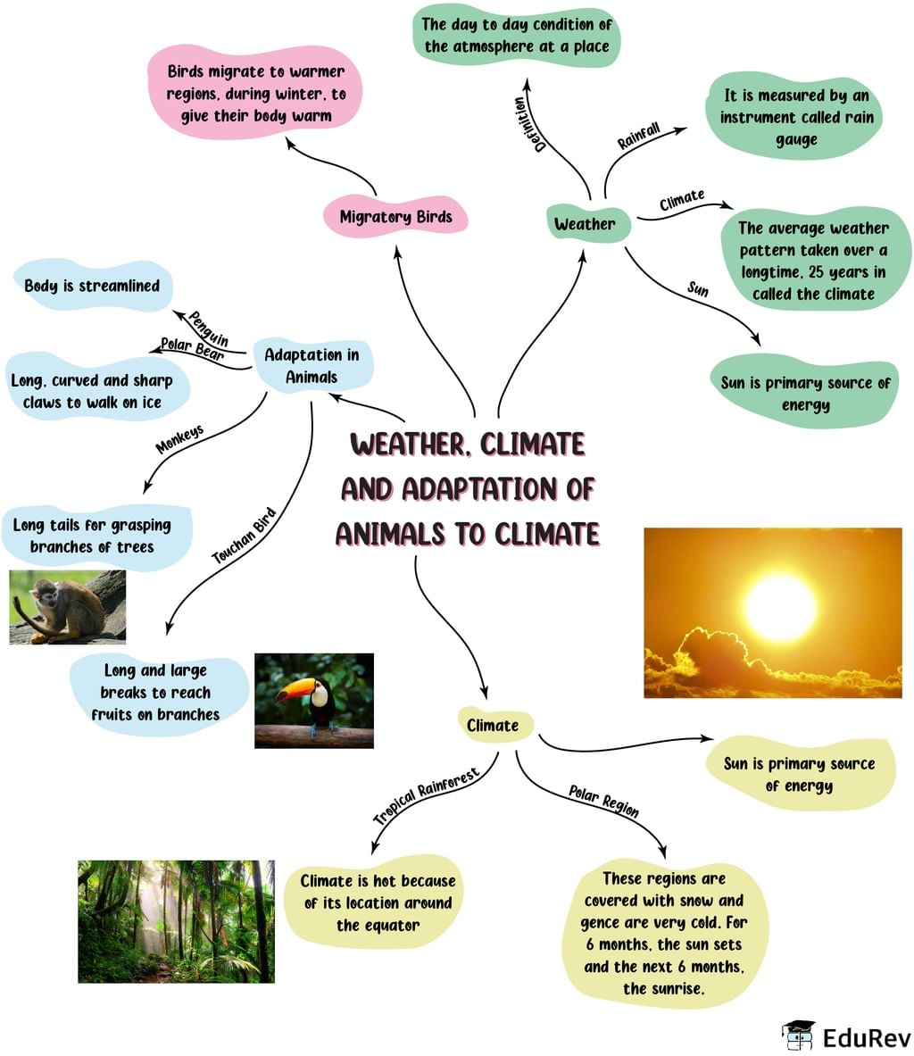 Mindmap: Weather, Climate and Adaptation of Animals to Climate | Science Class 7 (Old NCERT)