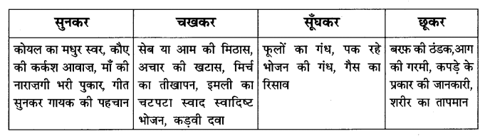 NCERT Solution: जो देखकर भी नहीं देखते | Class 6 All Subjects (Old NCERT)