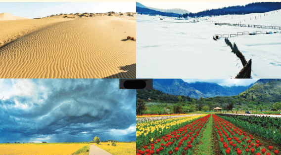 NCERT Solutions for Class 7 Social Science Chapter 2 Understanding the Weather