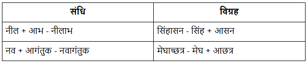 NCERT Solutions: नीलकंठ