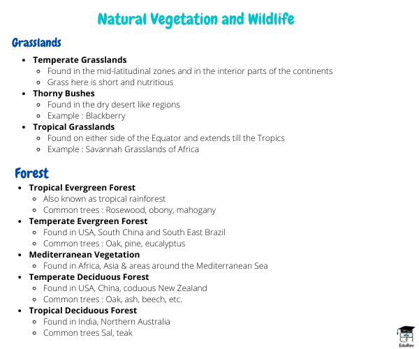 Mindmap: Natural Vegetation and Wildlife | Class 6 to 12 NCERT Mindmaps for UPSC Preparation